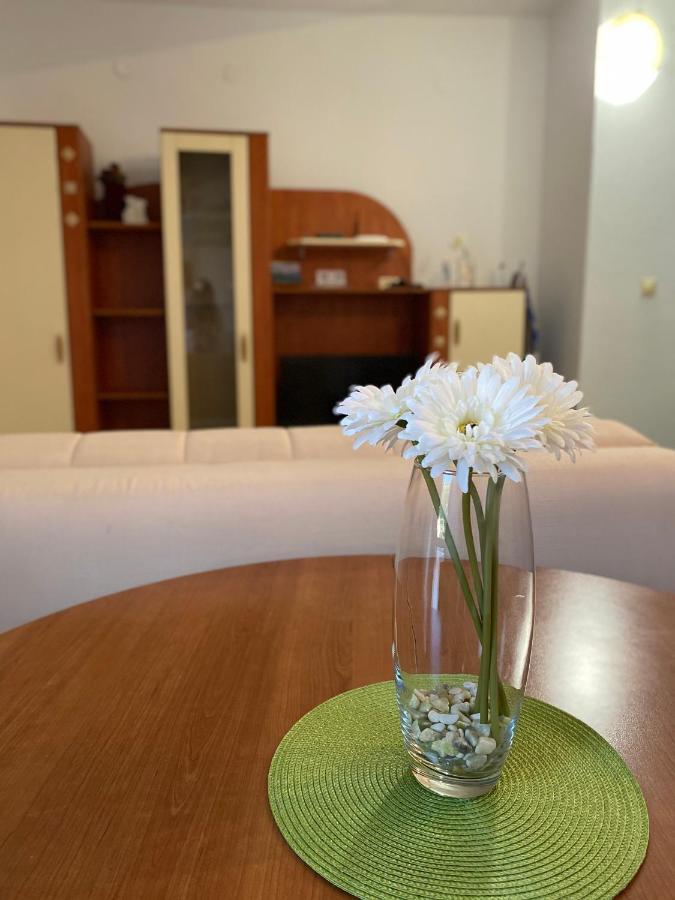 Apartments Mandarina Garden Petrovac Exterior photo